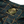 Load image into Gallery viewer, GREEN GOLD x VOLK - SRAJCA