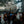 Laden Sie das Bild in den Galerie-Viewer, Bierverkostung Green Gold Brewing
